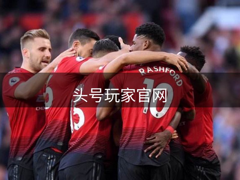 网站概况